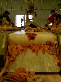 Cinta transportadora de carne