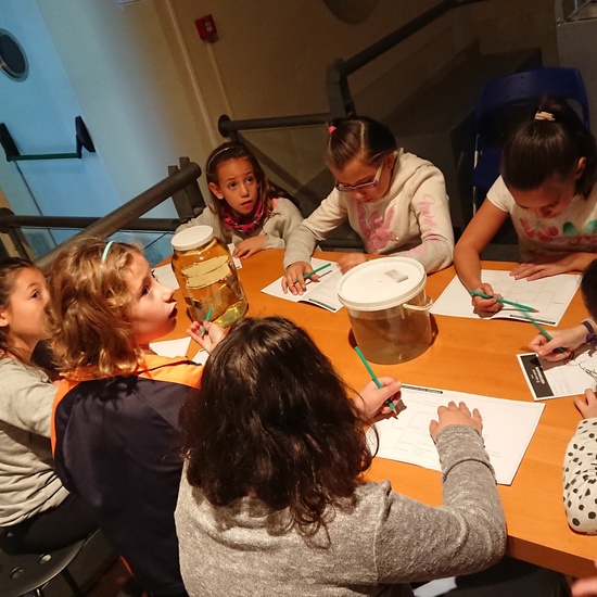 Excursión al museo de ciencias 23