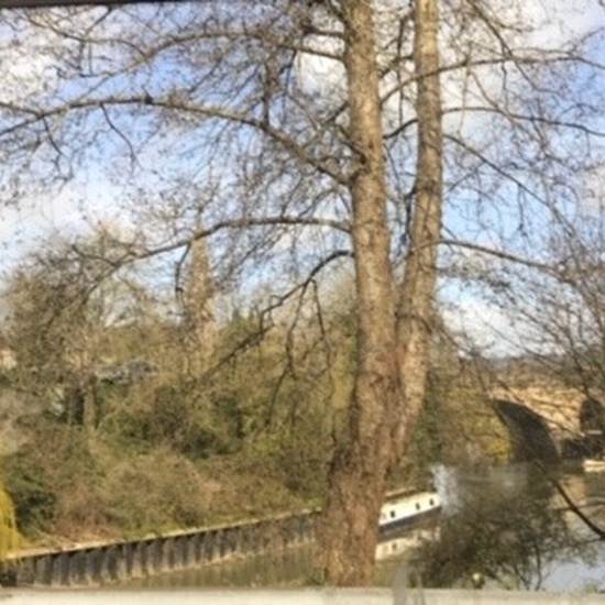 Inglaterra Curso 2019-2020 45