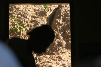 Sombra de mujer, Quilombo