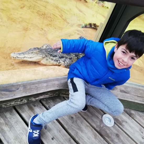 FAUNIA. 5º curso 10