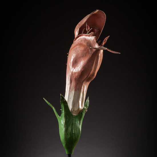 IES_SANISIDRO_MUSEO_Botanica_001