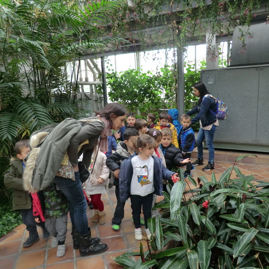 INVERNADERO DE ARGANZUELA 9