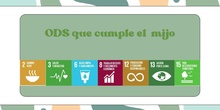 El mijo y los ODS