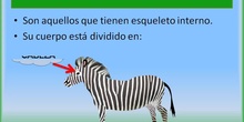 Los animales vertebrados