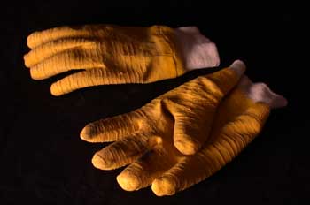 Guantes de jardinero