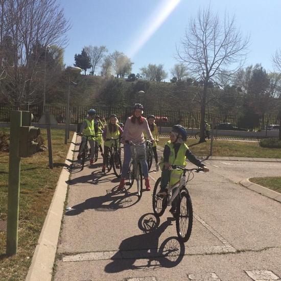 Educación Vial 11/3/2019 1