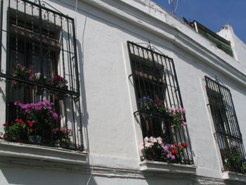 Balcones de rejas adornados con flores, Córdoba, Andalucía