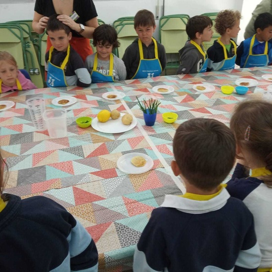 2019_03_1º celebra St Patrick's Day (1)_CEIP FDLR_Las Rozas 8