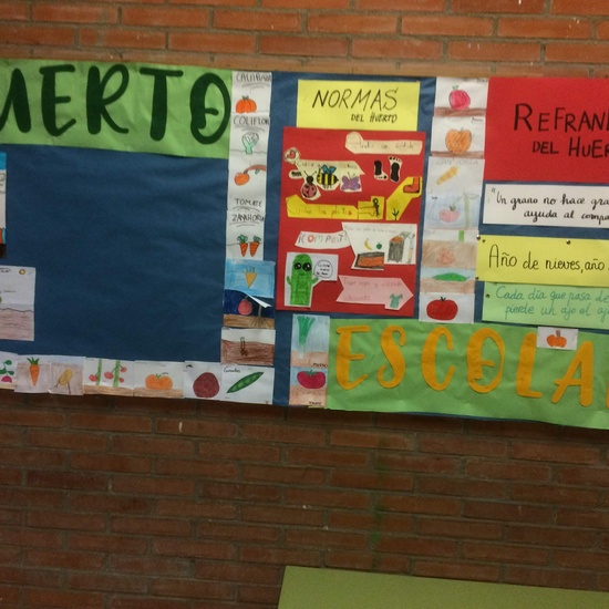 El huerto en febrero_CEIP FDLR_Las Rozas 5