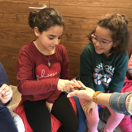 2020_02_27_3º visita Insectpark (4)_CEIP FDLR_Las Rozas 15