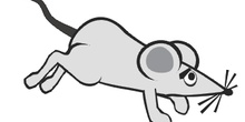Ratón corriendo