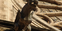 Gárgola de la Catedral de León, Castilla y León