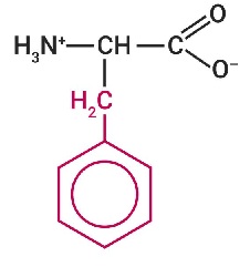 Fenilalanina