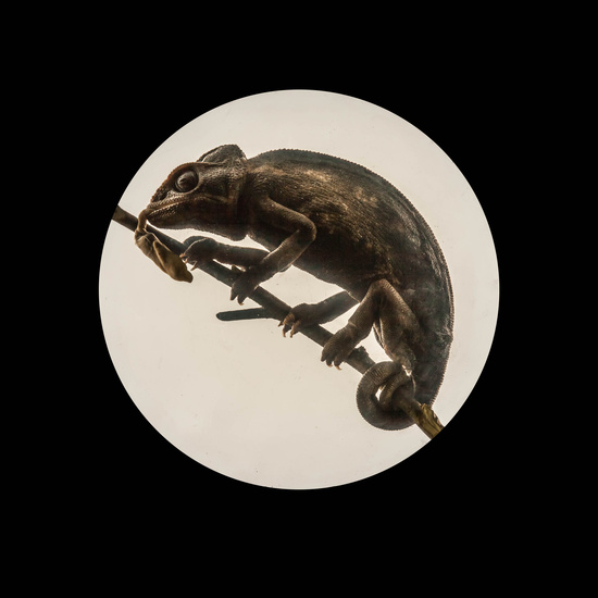 IES_CARDENALCISNEROS_CIENCIASNATURALES_324