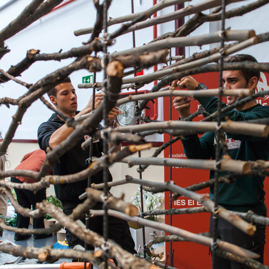 MADRID_SKILLS2016_034