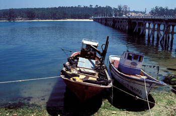 Pontevedra, Galicia