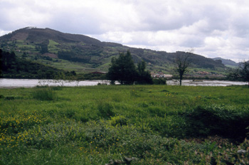 Tramo alto de la ría de Villaviciosa, Principado de Asturias