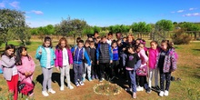 Salida Bosque Sur.3º de Primaria. Octubre 2019 20
