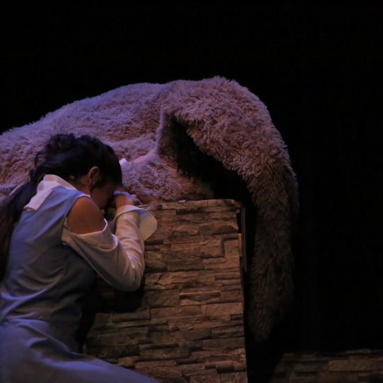 La Bella y la Bestia - Musical del Grupo de Teatro del IES Nicolás Copérnico 3