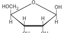 Beta-D-Ribofuranosa