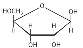 Beta-D-Ribofuranosa