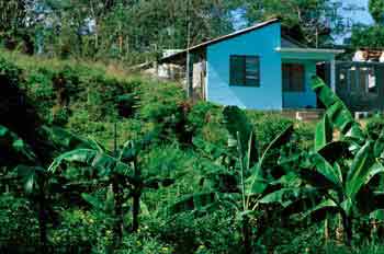 Paisaje rural cubano
