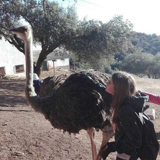 Mohernando 2017_4 10