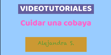 Videotutorial Alejandra S.