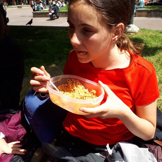 Viaje Toulouse 2018 7