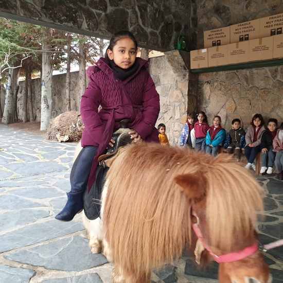 Excursión a la granja (Infantil) 1