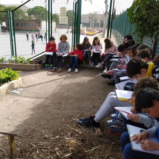 2019_02_24_Quinto termina febrero con las actividades de huerto_CEIP FDLR_Las Rozas_2019 15