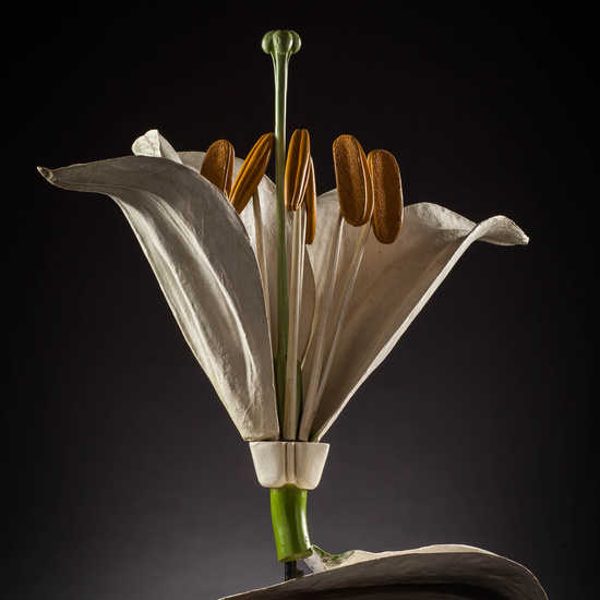 IES_SANISIDRO_MUSEO_Botanica_010