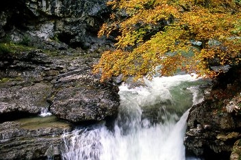 Salto de agua. Valle de Añisclo