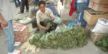 Vendedor de verduras, Katmandú, Nepal