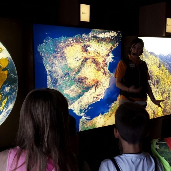 Visita a la exposición El Bosque. 1º 2º Primaria. CEIP Pinocho. 2016/17 21