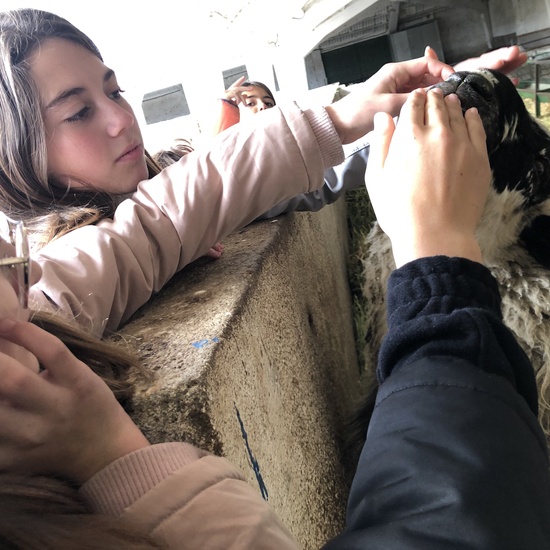 Albergue 6º - 4º día (mañana) 15