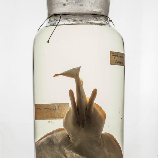 IES_CARDENALCISNEROS_CIENCIASNATURALES_340