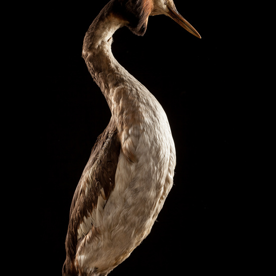 IES_SANISIDRO_BIOLOGIA_002