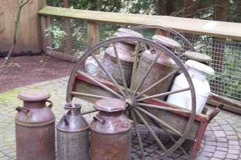 Antigüedades, Cañón del Capilano, Vancouver