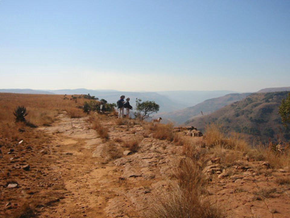 Ade. Juego con niveles.