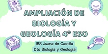 Ampliación BG