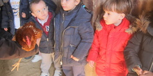 Granja Escuela Educación Infantil Curso 2017-18_2 8