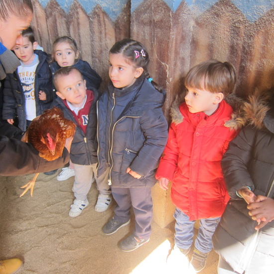 Granja Escuela Educación Infantil Curso 2017-18_2 8