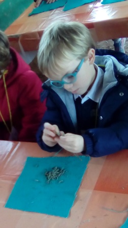 2017_02_LAS TORTUGAS AMARILLAS VISITAN LA GRANJA 5