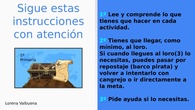 INSTRUCCIONES 