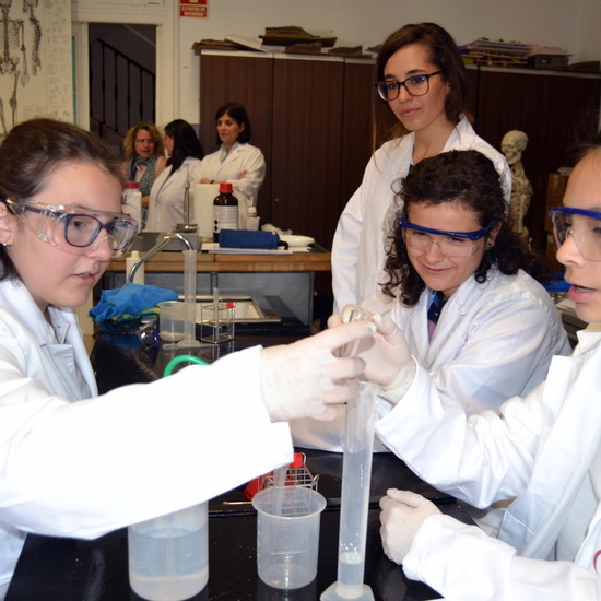 Proyecto de Aprendizaje y Servicio  12