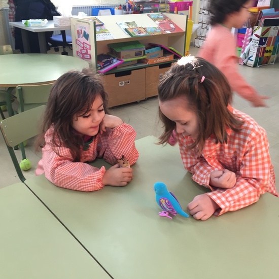 Regalos Reyes casita 1