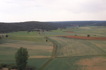 Vista desde el Castillo de Calatañazor, Valle de la Sangre, Cala