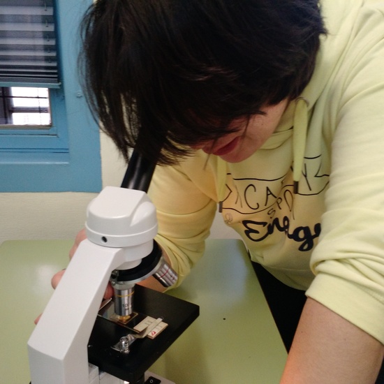 Usando el microscopio 8